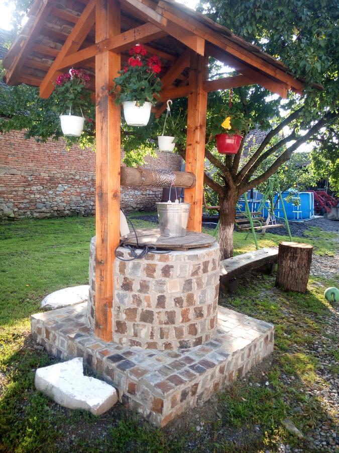 Casa Din Barcutゲストハウス エクステリア 写真